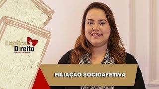 Explica Direito Filiação Socioafetiva  2019 [upl. by Darryn]